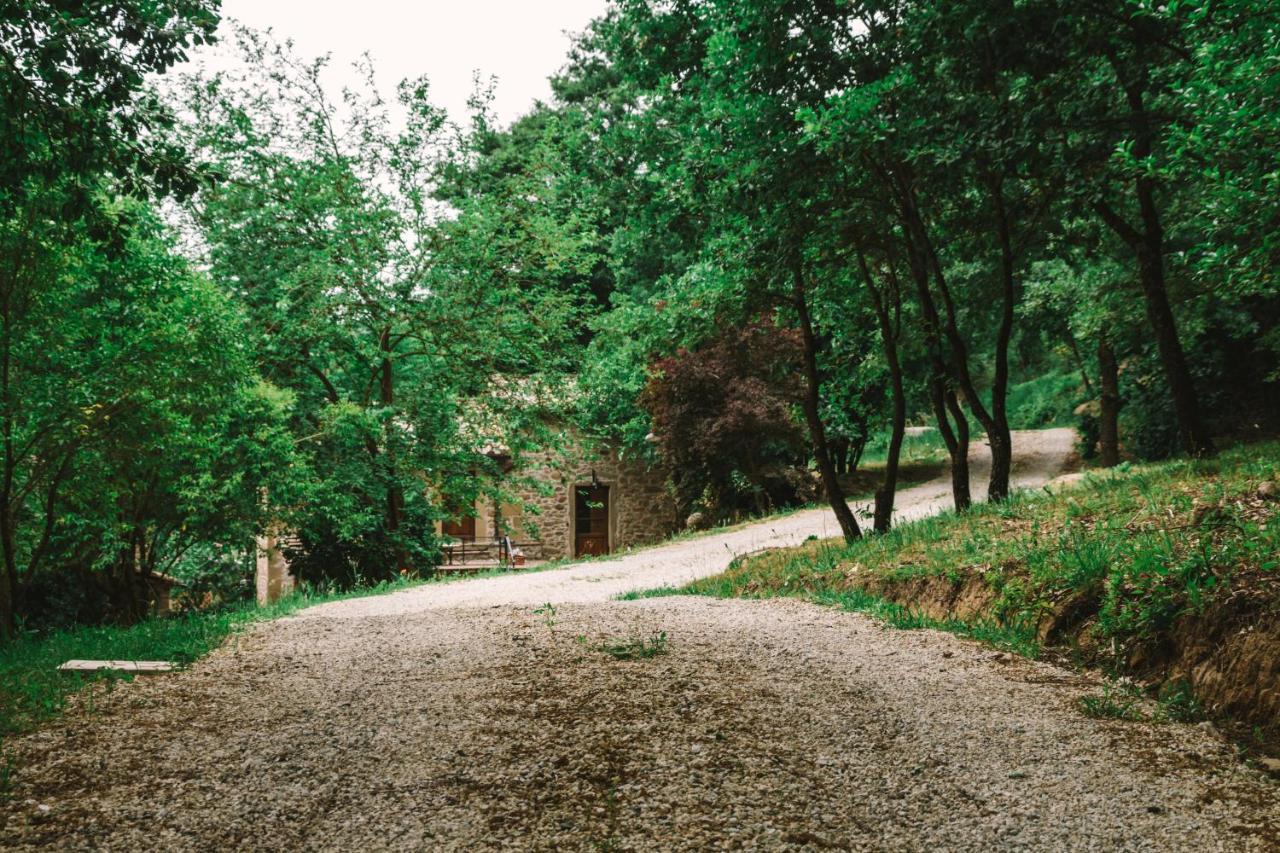 Parulia Country House Arezzo Esterno foto
