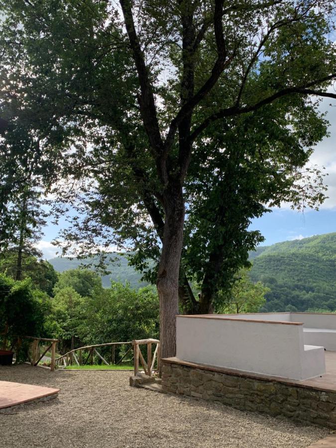 Parulia Country House Arezzo Esterno foto