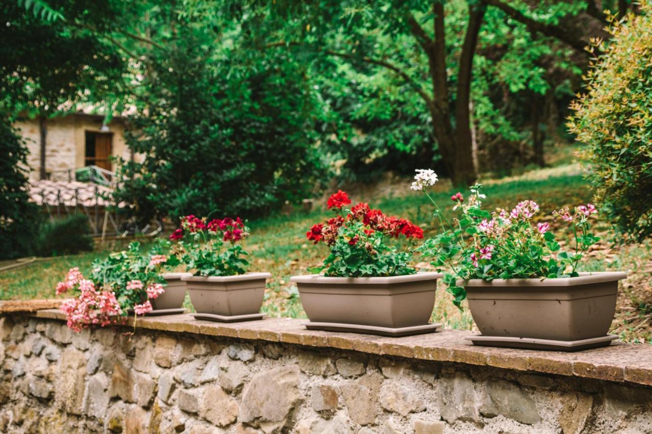 Parulia Country House Arezzo Esterno foto